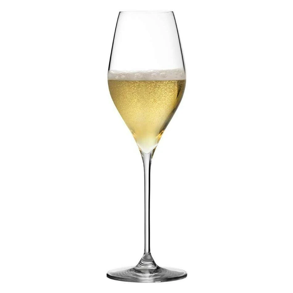 Champagnerglas - Bacci - Urban Bar UB3234 by Urban Bar color Svart