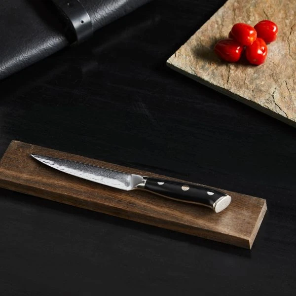 Damascus By Hâws Allzweckmesser 23,6 cm 30-DHB013 by Damascus by Hâws color Silver/brun
