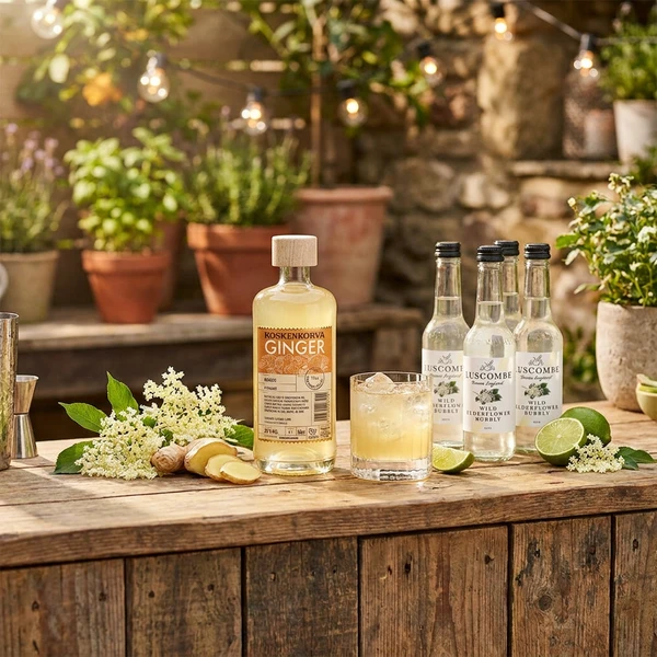 Ingwer & Holunderblüte - Cocktail des Monats Barlifepakke102 by KOSKENKORV color Svart