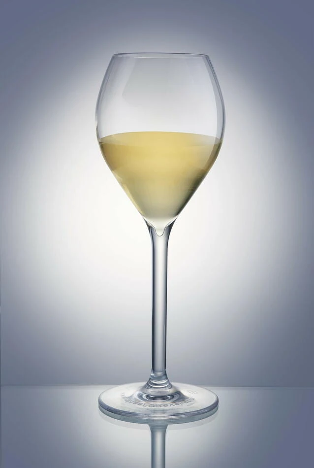 Champagne Luce - Polycarbonat 300117 by GLASS4EVER color Helder