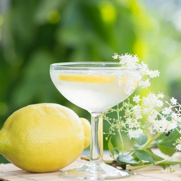 Willkommen Getränkepaket - Holunderblüte Velkomstdrinks4 by Deinhard color Svart