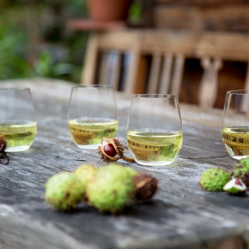 Riedel Tumbler Weinglas O Chardonnay/Viognier – 2er-Set 937515 by Riedel color Svart