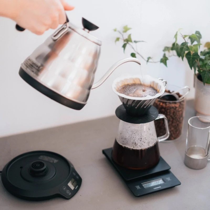 V60 Buono Elektrischer Wasserkocher mit Temperatursteuerung 0,8 l EVT-8-HSV-E by Hario color Svart