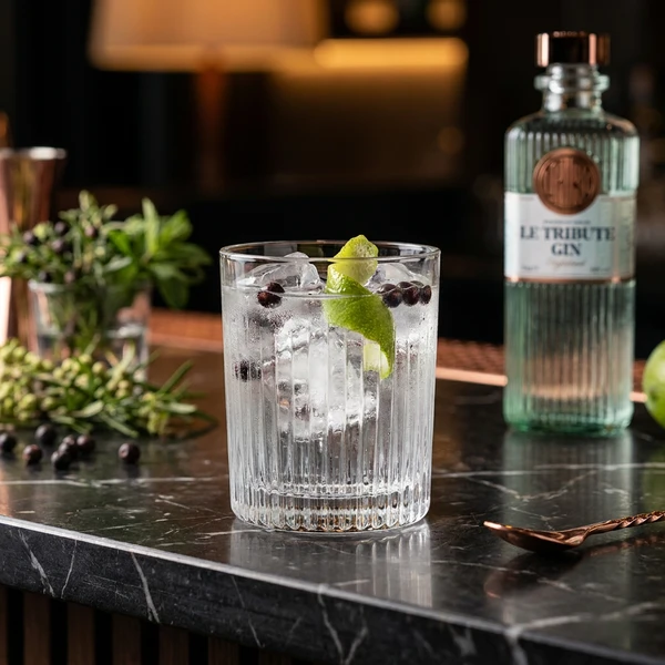 Le Tribute Tumbler Gin-Gläser 40 cl - 4er-Set 801555 by LETRIBUTE color Svart