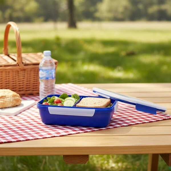 SMASH Divided Lunch Box | Brotdose mit Trennwand 1,0 l 14699AG by SMASH color Assorterad