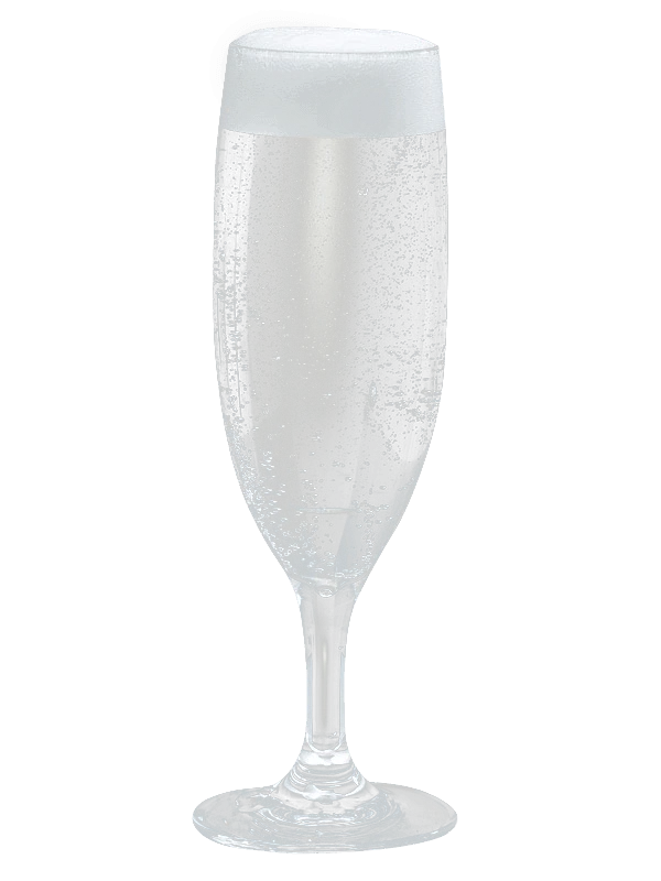Champagnerglas aus Polycarbonat 17 cl 300102 by GLASS4EVER color Helder