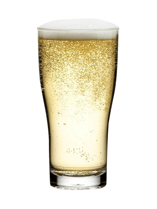 Bierglas 42,5 cl Polycarbonat 999907 by GLASS4EVER color Svart