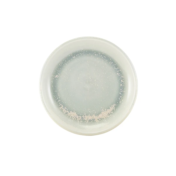 Terra Porcelain Pearl Coupé-Teller 19 cm CP-PPL19 by Genware color Svart