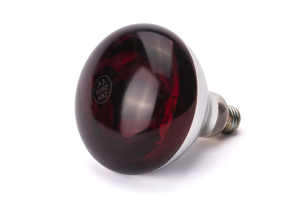 Hendi Infrarot-Wärmelampe Rot 275W 919217 by Hendi color Svart