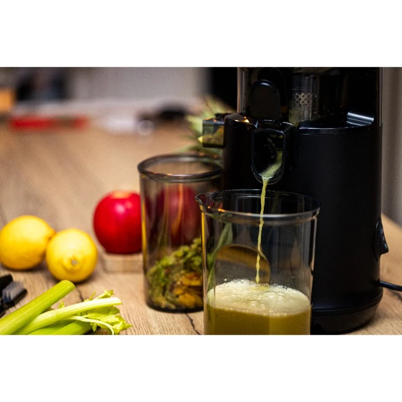 Hâws Slow Juicer 1L 30-HSJ1000  color Svart