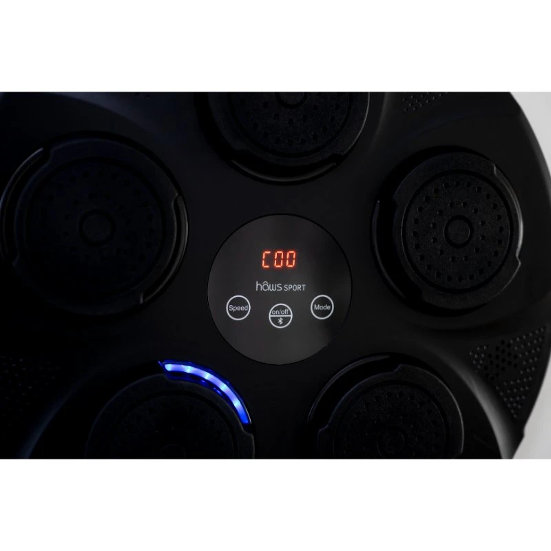Hâws Musik-Boxmaschine mit Bluetooth und Wandhalterung 30-HSMB94  color Svart