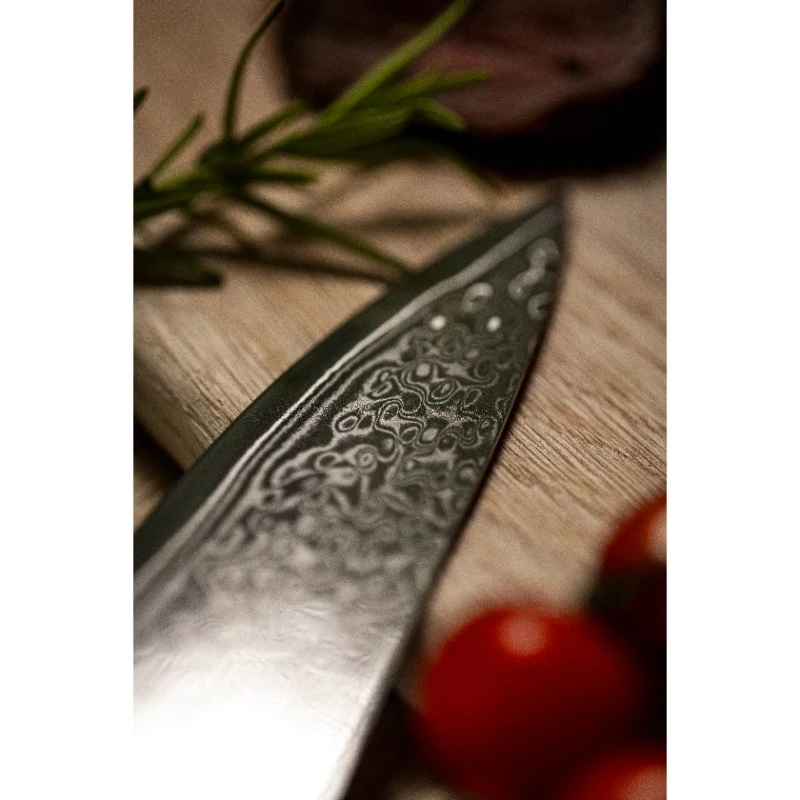 Damascus By Hâws Damastmesser-Set 6-teilig 30-DBH6G10  color Svart