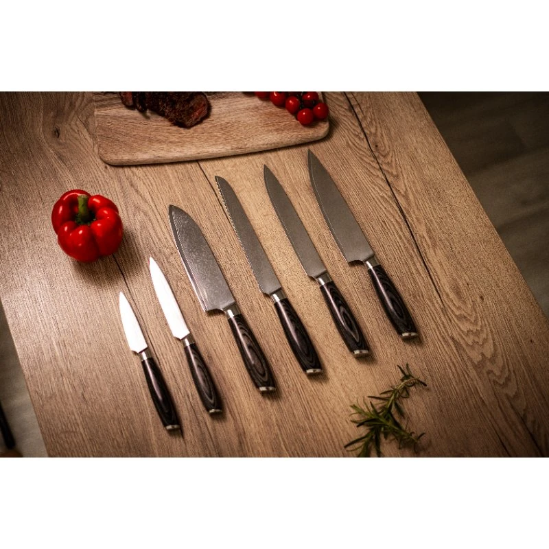 Damascus By Hâws Damastmesser-Set 6-teilig 30-DBH6G10  color Svart