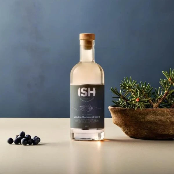 GinISH (Alkoholfrei) FL 70 51488 by VILLAASCEN color Svart
