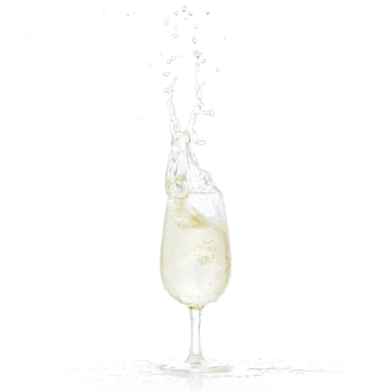 Weinverkostungsglas aus Polycarbonat 20,5 cl NSG 300.196 by GLASS4EVER color Helder