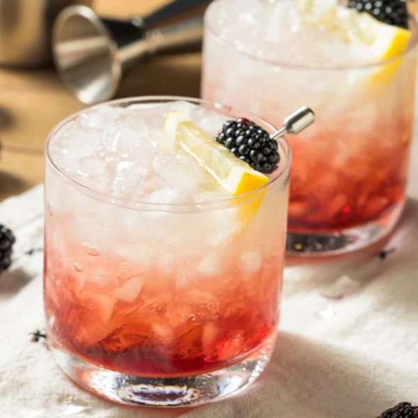 Gin Bramble - Drinkpaket Barlifepakke3 by Barlife color Svart