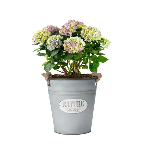 Pflanztopf aus Zink Ø 26 x 26 cm 9014541 by HAAHR & CO color Svart
