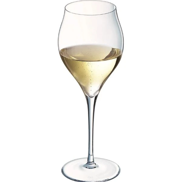 Champagnerglas, 30 cl, H21,1 cm Chef&Sommelier 20162230 by Chef & Som color Helder