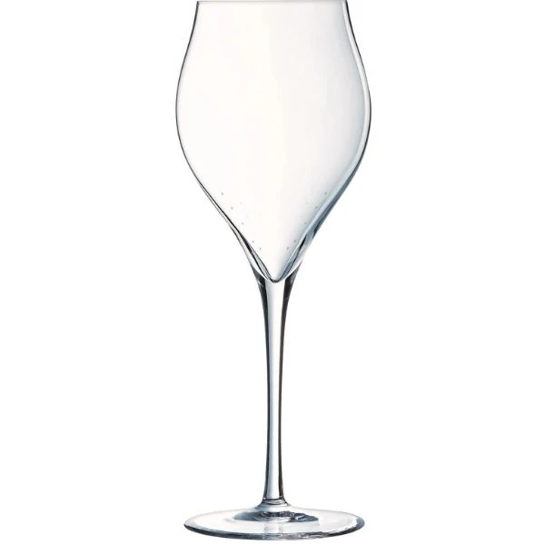 Champagnerglas, 30 cl, H21,1 cm Chef&Sommelier 20162230 by Chef & Som color Helder