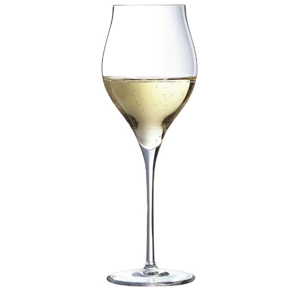 Chef&Sommelier Exaltation Champagnerglas 35 cl, H23,5 cm 20162235 by Chef & Som color Helder