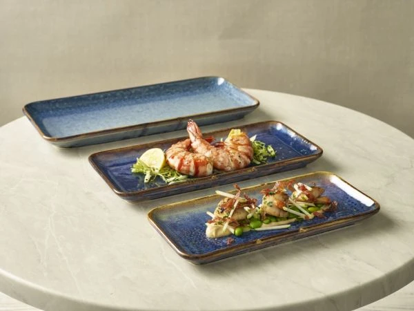 Terra Schmale Rechteckige Servierplatte Aqua Blau 36 x 16,5 cm Genware NR-PBL36 by Genware color Svart