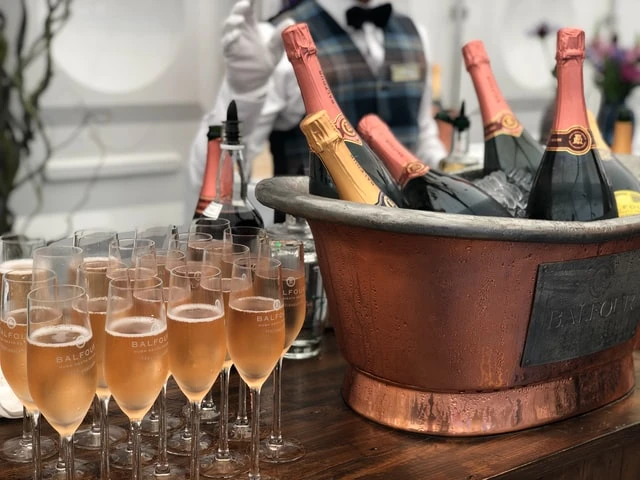 Wissenschaftlich erwiesen – So holen Sie das Beste aus Ihrem Champagner heraus