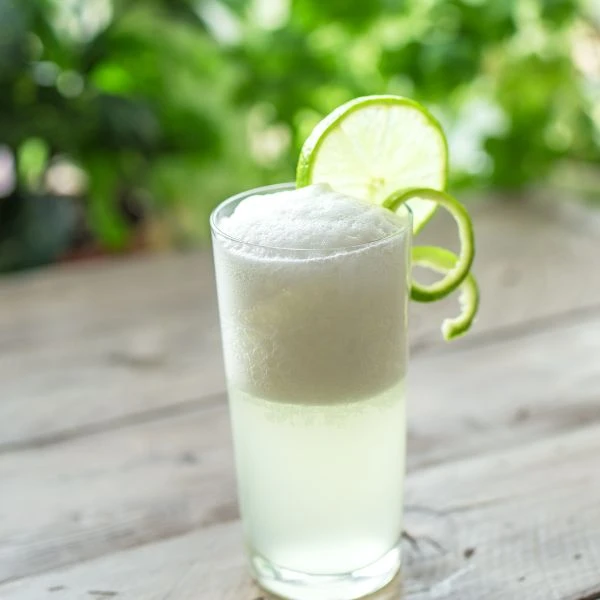 Rezept für einen Gin Fizz Cocktail