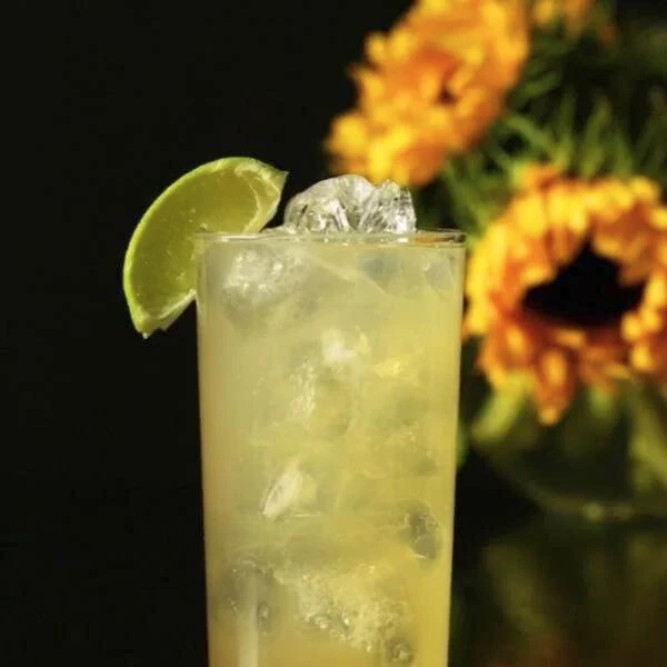 Cocktailrezept für Gin Hass
