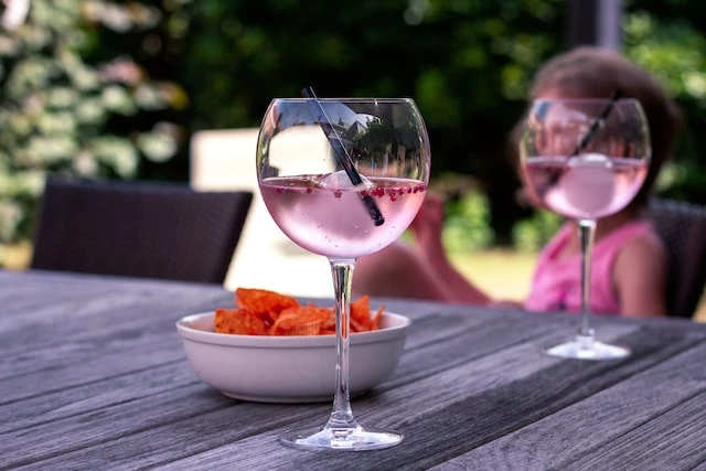 Gin für jeden Geschmack – Gin bis zur Perfektion