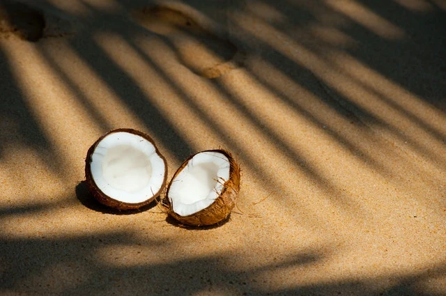 Malibu – Drinks mit dem köstlichen Kokosnuss-Rum