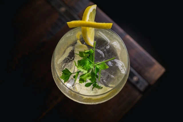 3 köstliche Gin-Cocktails!