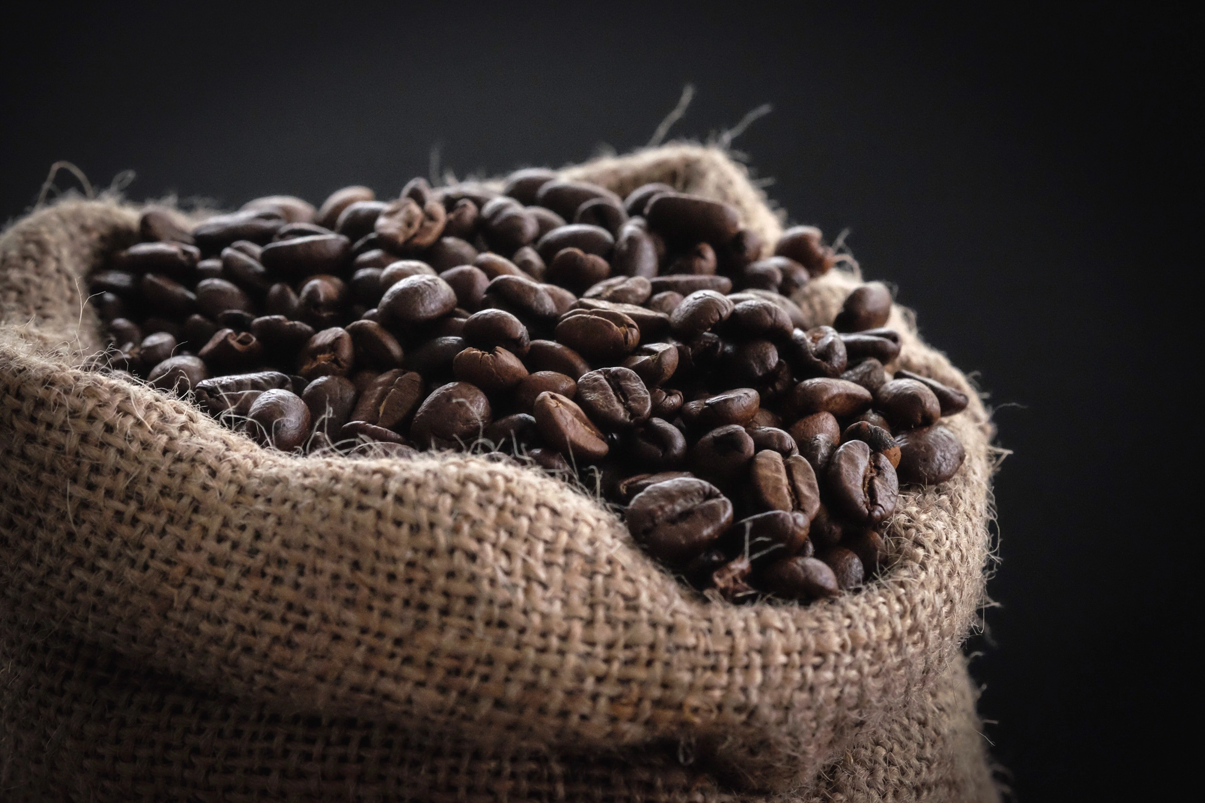 Das Geheimnis einer guten Tasse Kaffee